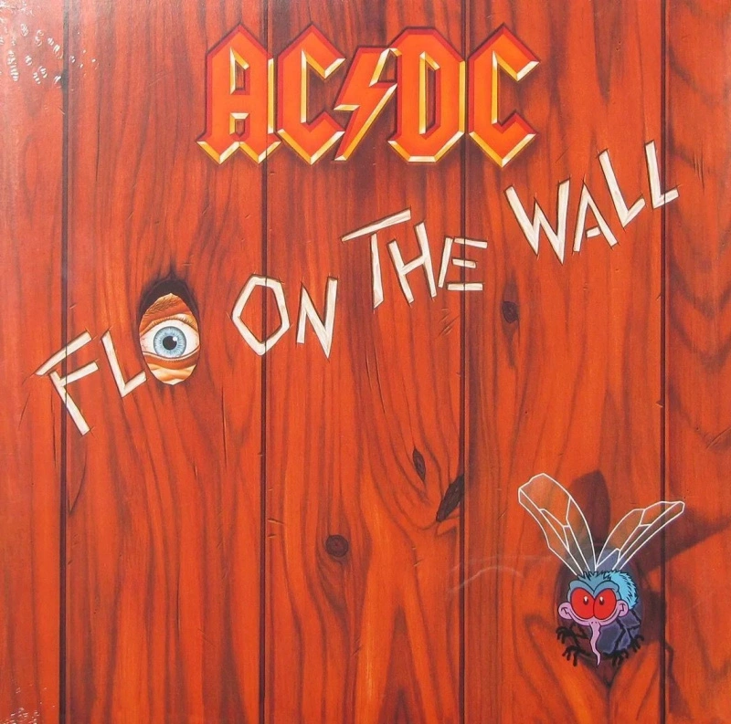 Fly On The Wall