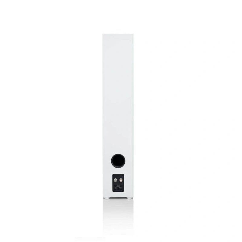 Canton GLE 80 White
