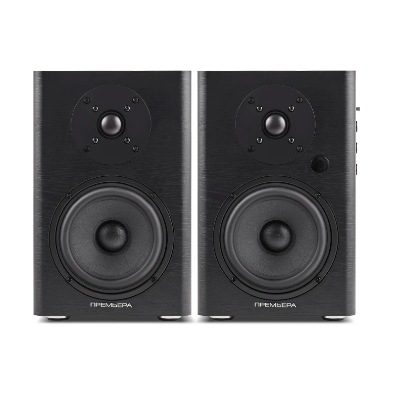 Premiera ES-501A Black