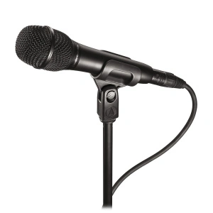 Audio-Technica AT2010