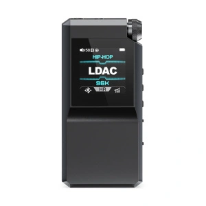 FIIO BTR17 (F3084B) Black