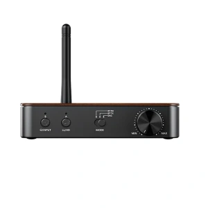 FIIO BTA30 pro Wood