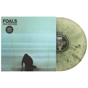 What Went Down (10th Anniversary Embossed Cover Coke Clear Green & Black Smoke Marbled Vinyl) 