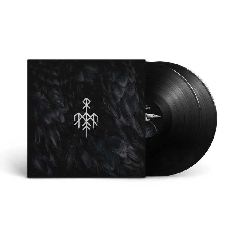 Kvitravn