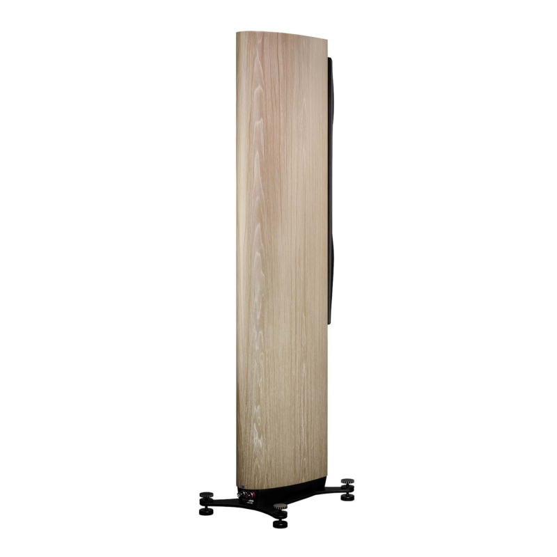 Dynaudio Confidence 50 Blonde Wood