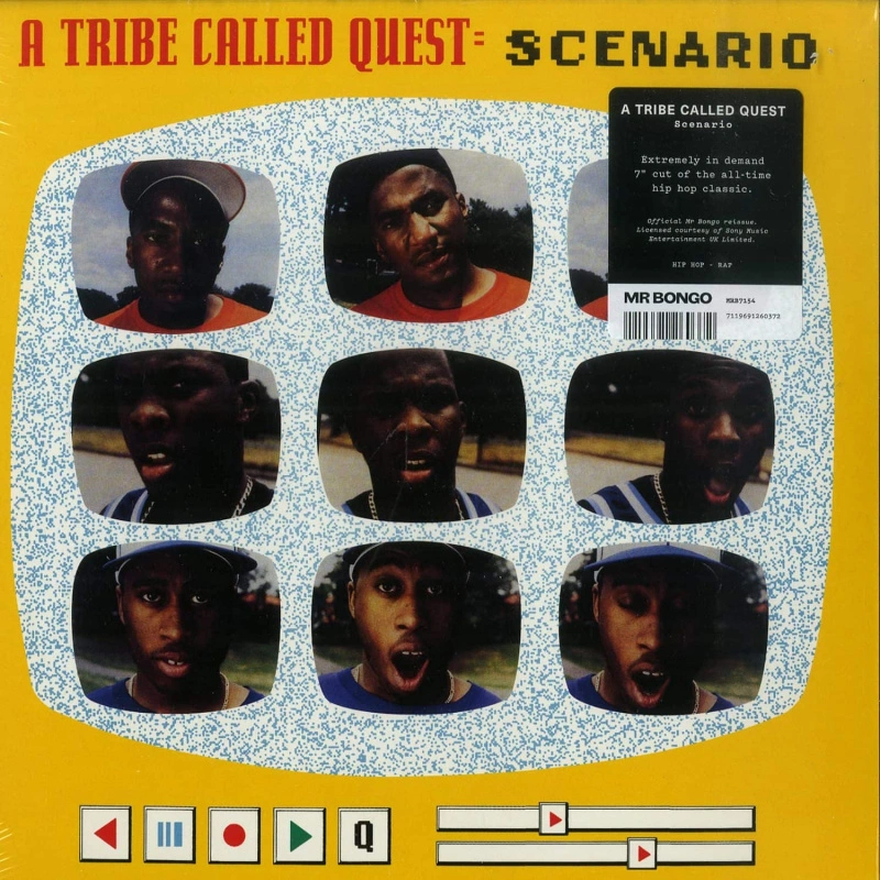 Scenario