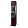 Dynaudio Confidence 60 Raven wood high gloss