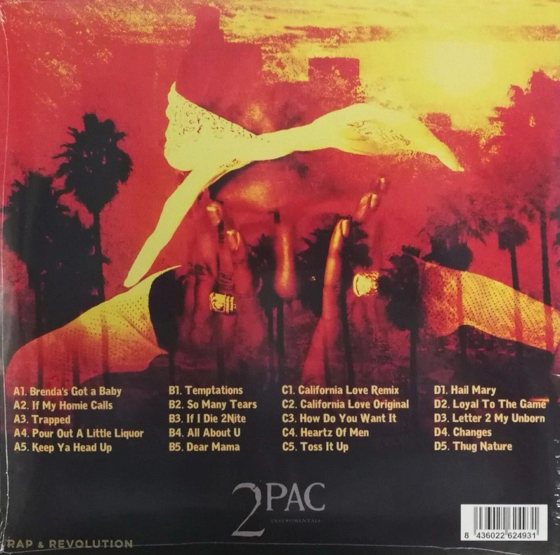 Rap & Revolution (Instrumentals)