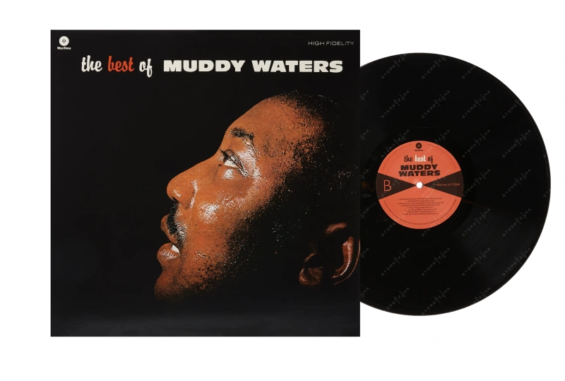 The Best Of Muddy Waters