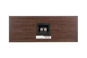 Phaze Audio Tilia Center Dark Oak