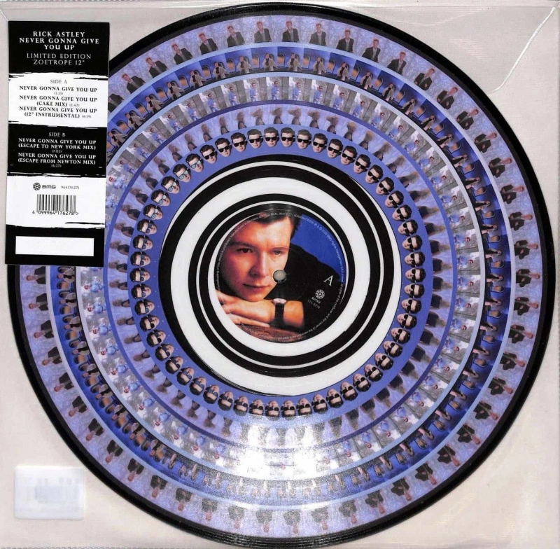 Never Gonna Give You Up (Zoetrope Picture Disc)