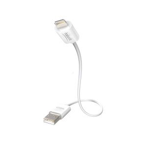 Inakustik Premium iPlug Cable Apple Lightning > USB A 3 m (00440203)