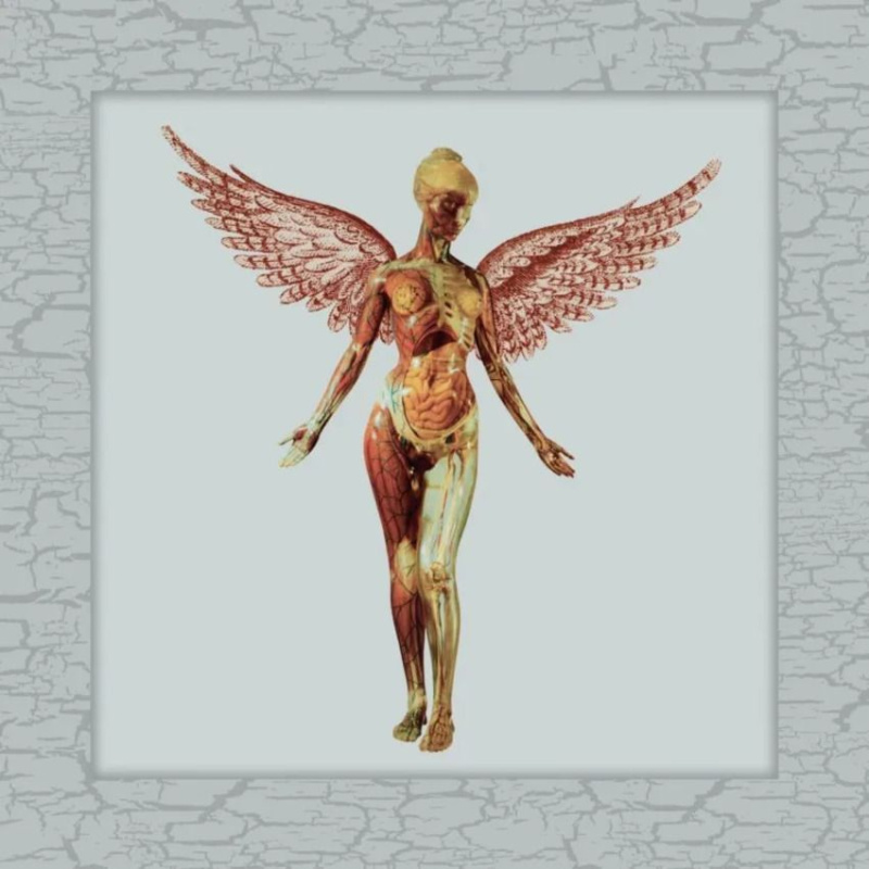 In Utero (30th Anniversary Box Set)