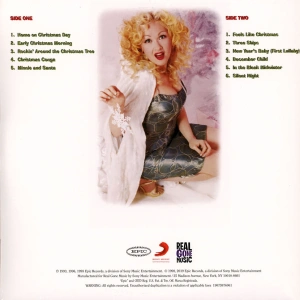 Merry Christmas... Have A Nice Life (Clear with Red & White Swirl Vinyl)