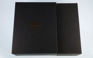 FOSTEX TH900MK2