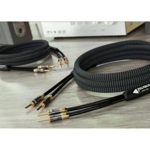 Ricable Magnus Speaker MKII 2 x 2 m