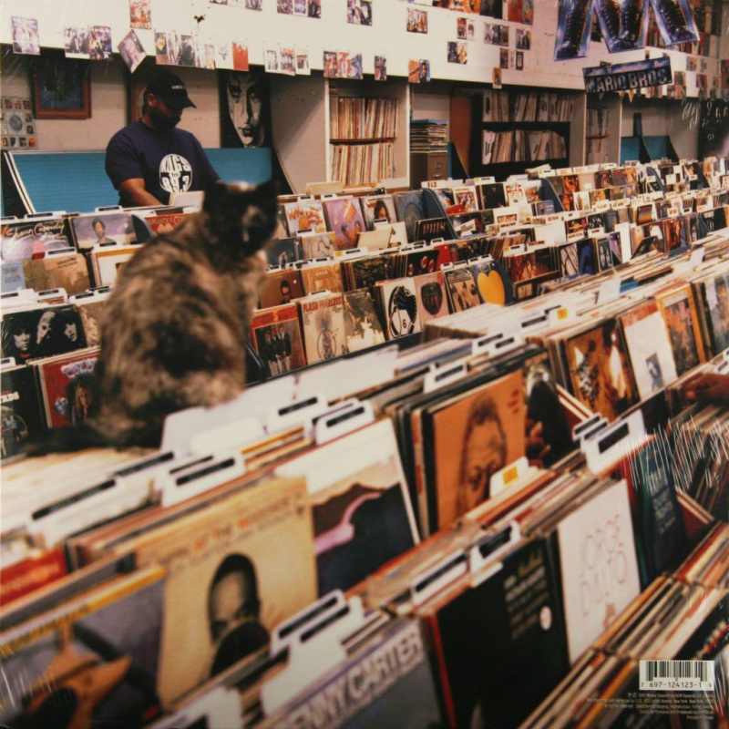 Endtroducing