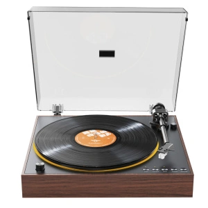 FIIO TT11 (F6001T) Brown