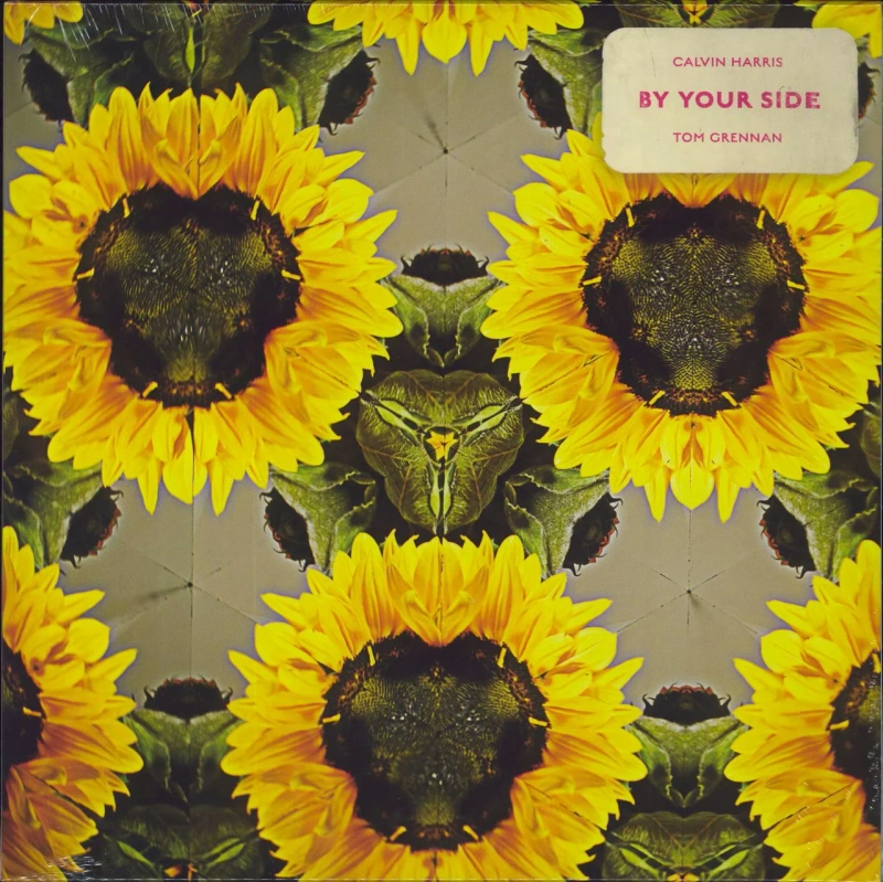 By Your Side (Picture Disc)