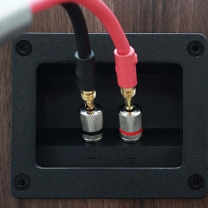 ELIPSON Heritage XLS 15 Walnut