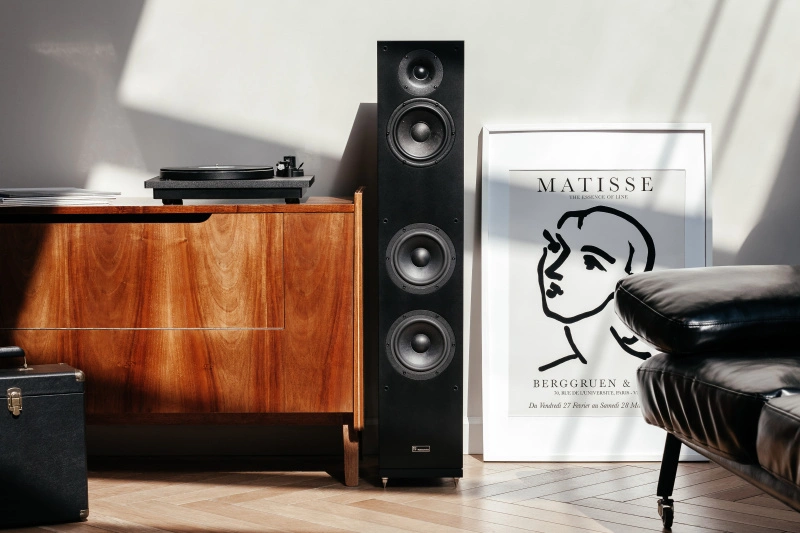 Radiotehnika Gamma 3.02 Black Ash