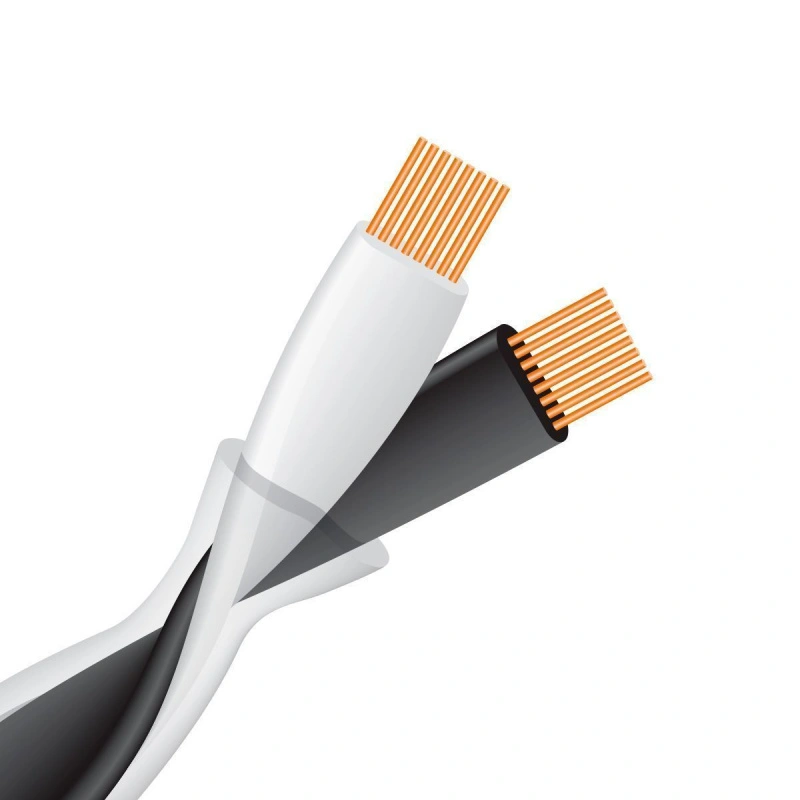 Wireworld Helicon 16x OCC Speaker Cable 2.0m (HCS2.0MB-10)
