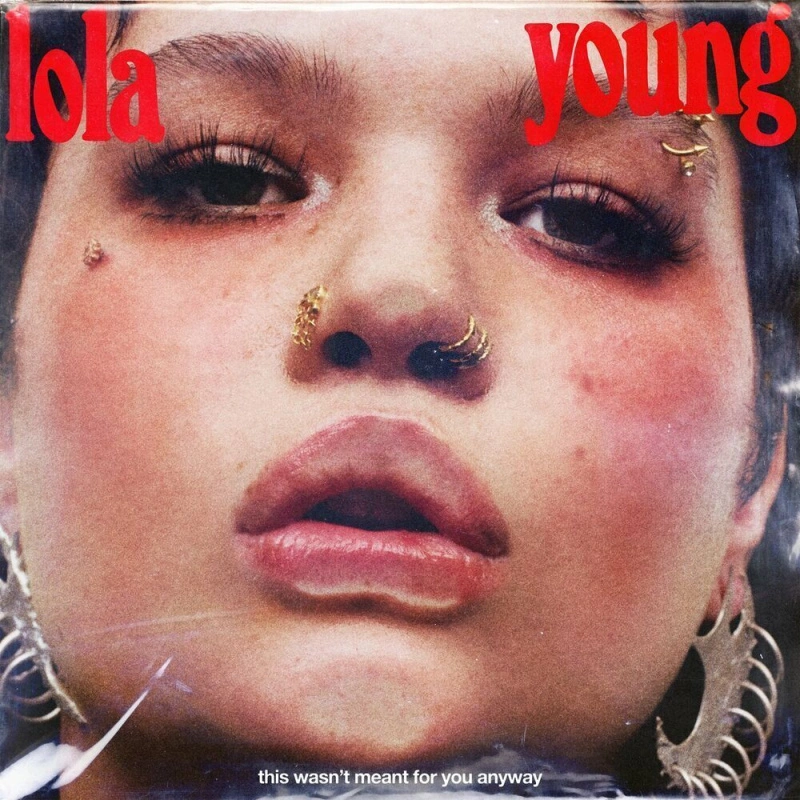 This Wasn't Meant For You Anyway (Red Transparent Vinyl)