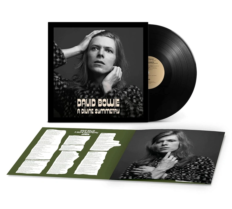 A Divine Symmetry (An Alternative Journey Through Hunky Dory)