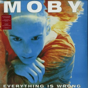 Everything Is Wrong