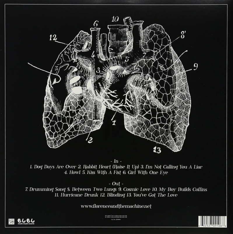 Lungs