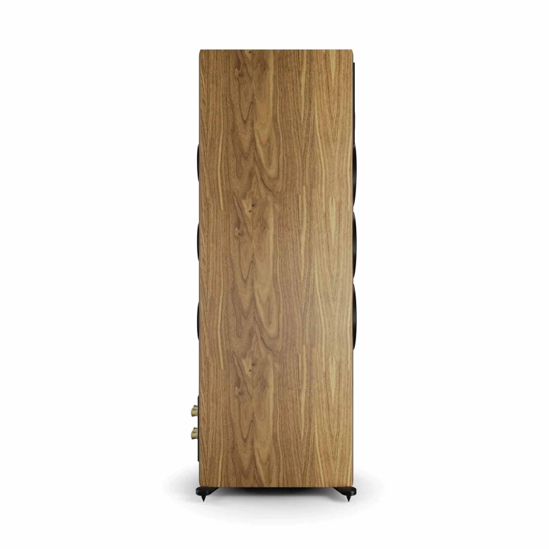 DALI Rubikore 8 Natural Walnut