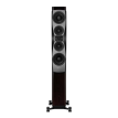 Dynaudio Confidence 50 Raven Wood High Gloss