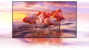 Samsung QE55Q60ABUXRU