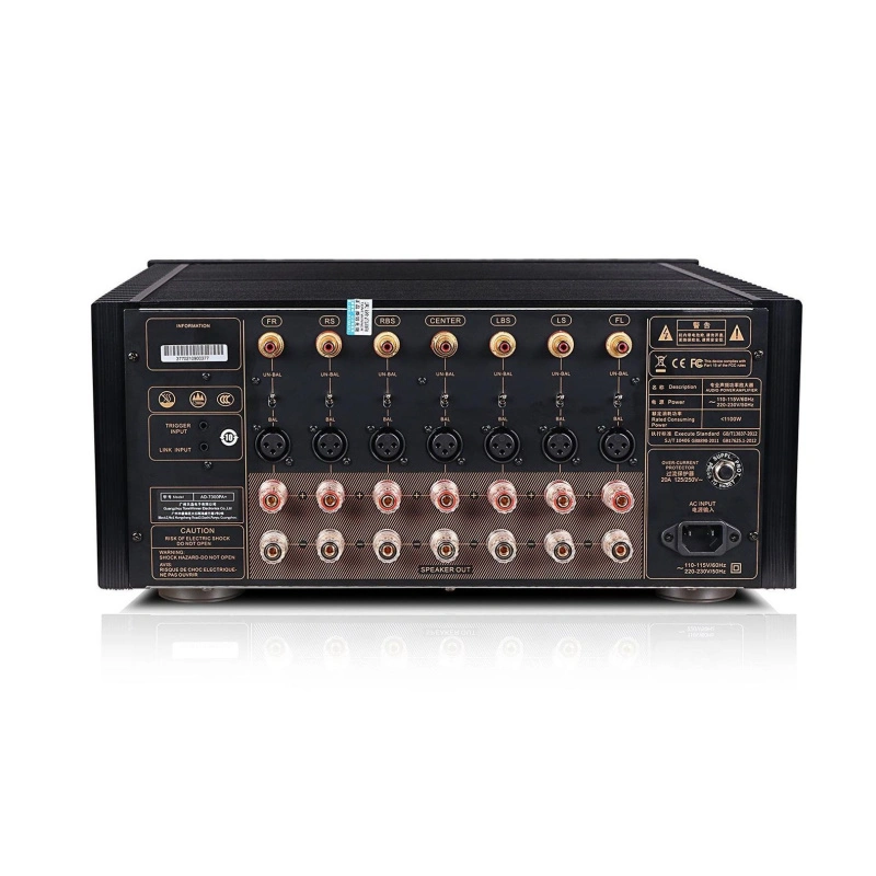 Tone Winner AD-7300PA Plus
