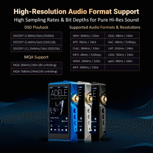 HIDIZS AP80 PRO MAX Black