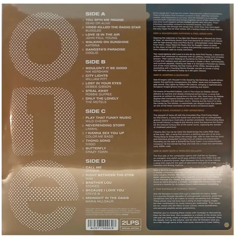 One Hit Wonders (The Hardest To Find Hits Of All Time) (Special Edition)