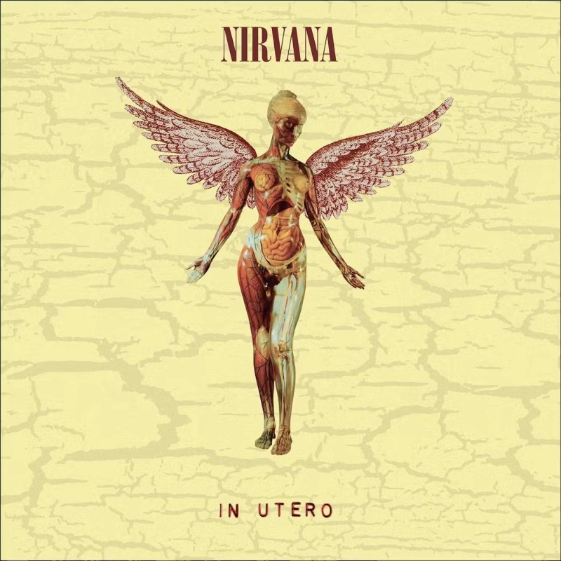 In Utero (30th Anniversary)
