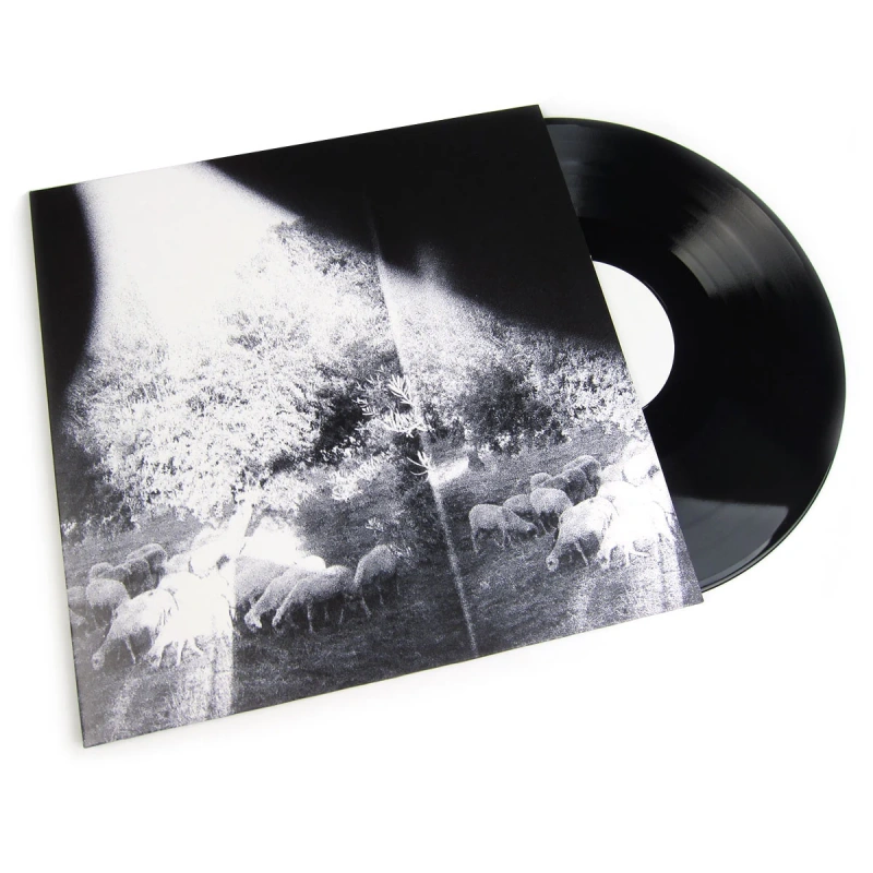 Asunder, Sweet And Other Distress