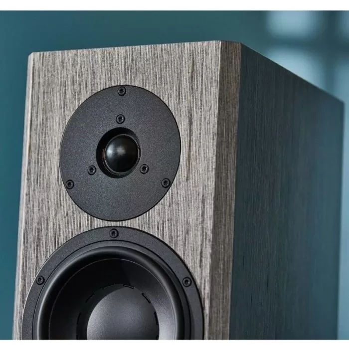 Dynaudio special forty. Акустическая система Dynaudio Special Forty. Dynaudio Special Forty Grey Birch. Dynaudio audience 70. Акустическая система Dynaudio m3f.