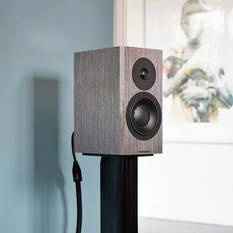 Dynaudio special cheap forty grey