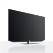 LOEWE BILD V.55 DR+